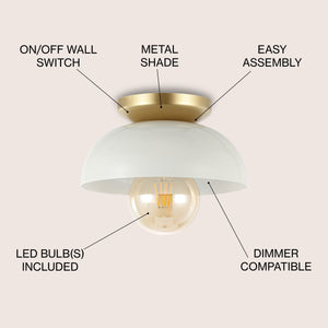 Paulina 1-Light Classic Industrial Iron LED Flush Mount