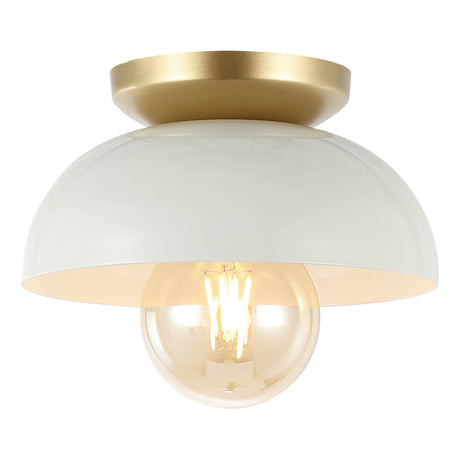 Paulina-1-Light-Classic-Industrial-Iron-LED-Flush-Mount-Flush-Mounts