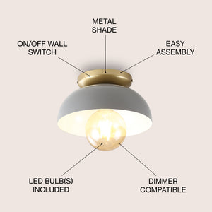 Paulina 1-Light Classic Industrial Iron LED Flush Mount