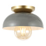 Paulina 1-Light Classic Industrial Iron LED Flush Mount