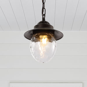 Manteo 1-Light Farmhouse Industrial Iron/Glass Outdoor LED Pendant