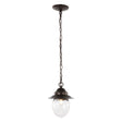 Manteo-1-Light-Farmhouse-Industrial-Iron/Glass-Outdoor-LED-Pendant-Pendants
