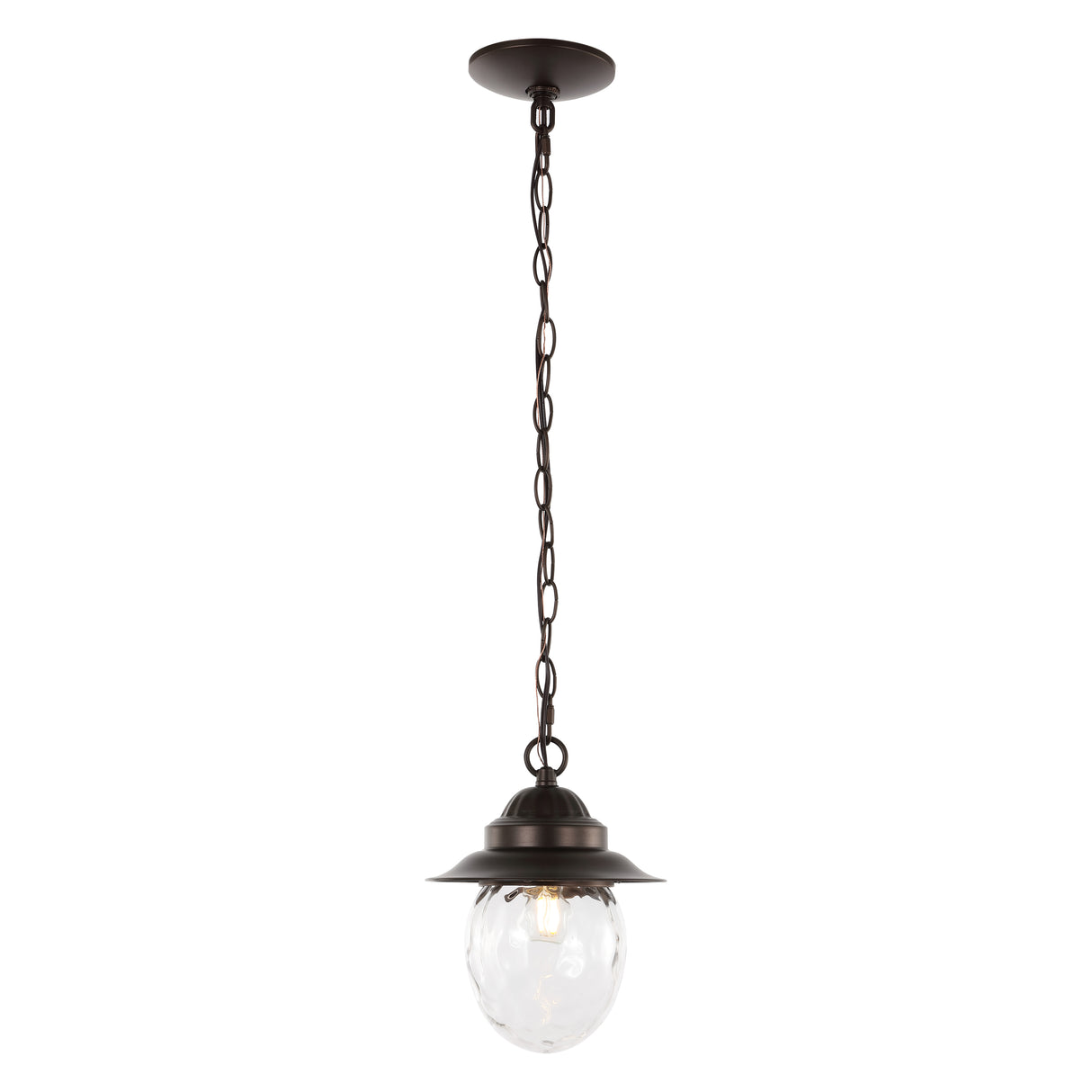 Manteo-1-Light-Farmhouse-Industrial-Iron/Glass-Outdoor-LED-Pendant-Pendants