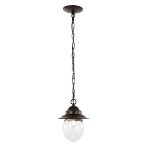 Manteo-1-Light-Farmhouse-Industrial-Iron/Glass-Outdoor-LED-Pendant-Pendants