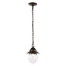 Manteo-1-Light-Farmhouse-Industrial-Iron/Glass-Outdoor-LED-Pendant-Pendants