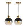 Nixon-1-Light-Mid-Century-Modern-Metal/Glass-Adjustable-Drop-Globe-LED-Pendants-Pendants