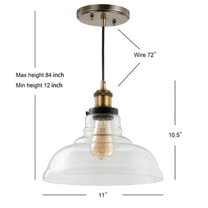 Litchfield Farmhouse Metal/Glass LED Pendant