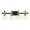 Marais 4-Light Iron/Glass Rustic Vintage LED Vanity Light