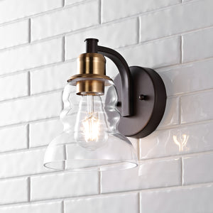 Manhattan 1-Light Metal/Glass Industrial Rustic LED Vanity