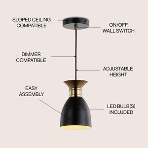Edison Metal LED Pendant