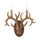 Oakley-2-light-southwestern-bohemian-resin/iron-faux-antler-led-sconce-Outdoor-Lighting