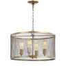 Pen-Iron-Adjustable-Industrial-Mesh-LED-Pendant-Pendants