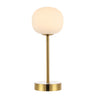 Natalia Modern Minimalist Iron Rechargeable Integrated Portable LED Table Lamp