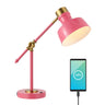 Allegra Classic Farmhouse Adjustable Cantilever LED Task Lamp with USB Charging Port