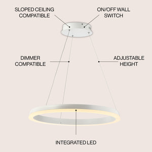 Baxter 1-Light Modern Contemporary Aluminum Integrated LED Hoop Pendant