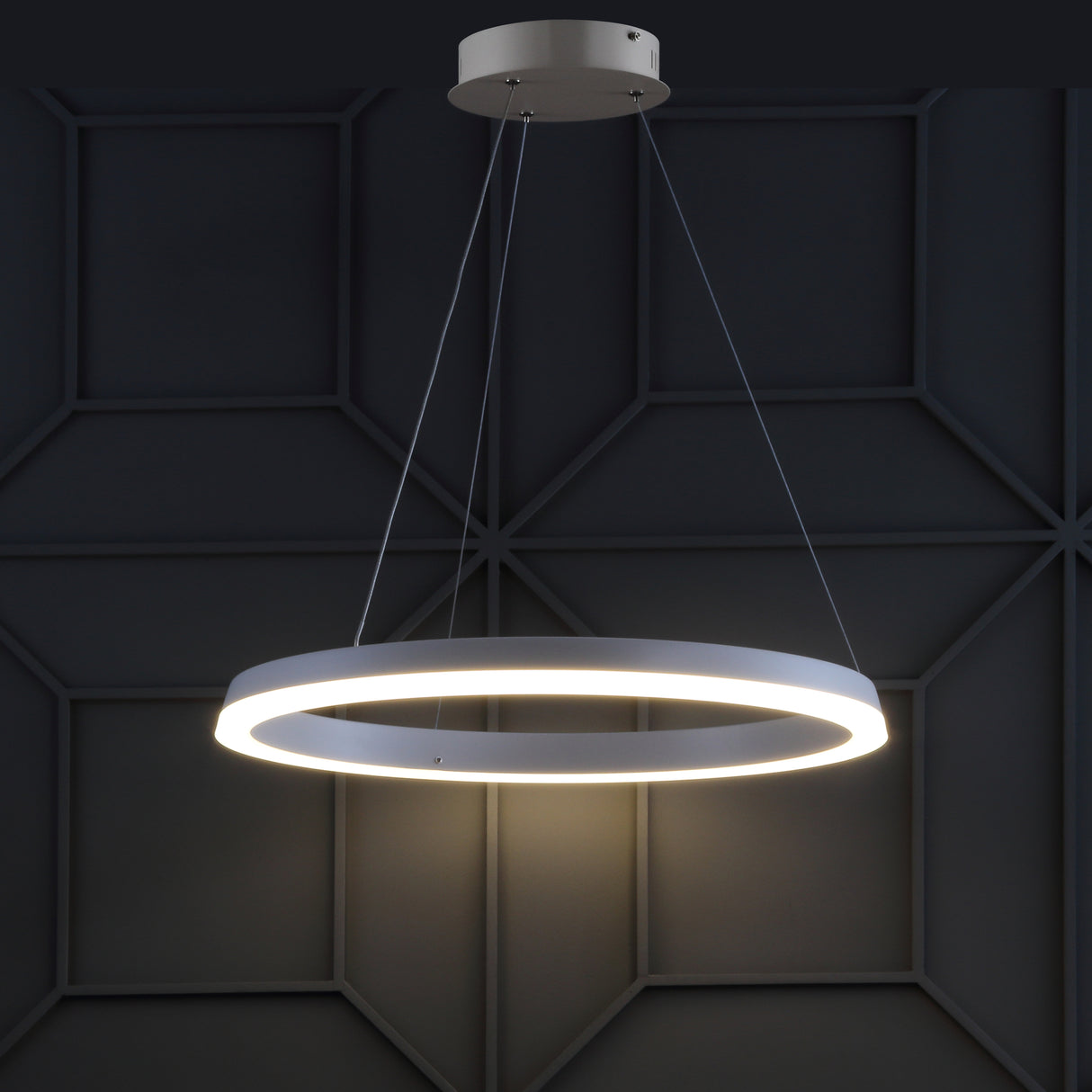 Baxter 1-Light Modern Contemporary Aluminum Integrated LED Hoop Pendant