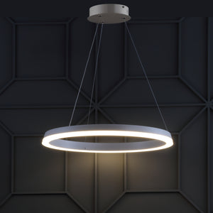 Baxter 1-Light Modern Contemporary Aluminum Integrated LED Hoop Pendant