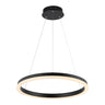 Baxter 1-Light Modern Contemporary Aluminum Integrated LED Hoop Pendant