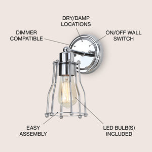 Evelyn 1-light Metal Vanity Light