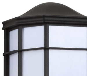 Henry Outdoor Frosted Acrylic/Metal Integrated LED Wall Sconce