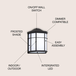 Henry Outdoor Frosted Acrylic/Metal Integrated LED Wall Sconce
