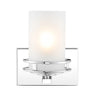 Fairfax-1-Light-Metal/Frosted-Glass-Contemporary-Glam-LED-Vanity-Light-Bathroom-Vanity-Lights