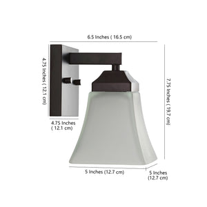 Staunton 1-Light Iron/Glass Modern Cottage LED Vanity Light