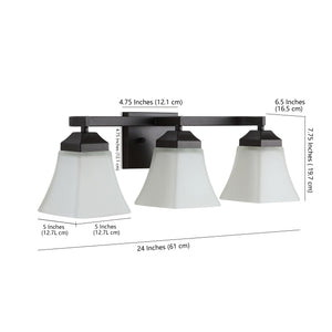 Staunton 3-Light Iron/Glass Modern Cottage LED Vanity Light