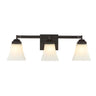 Staunton 3-Light Iron/Glass Modern Cottage LED Vanity Light