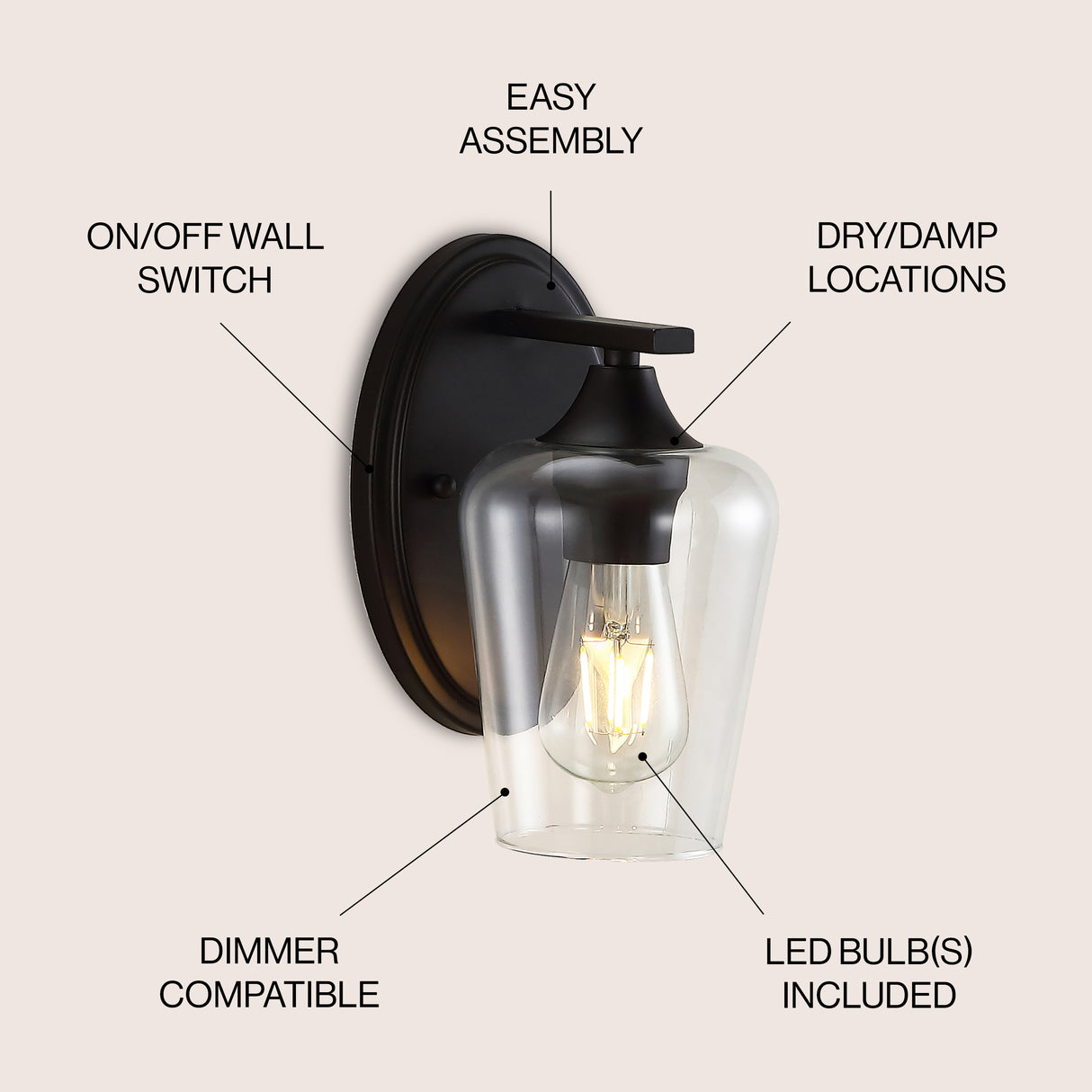 Jayne 1-Light Iron/Glass Cottage Rustic LED Vanity Light