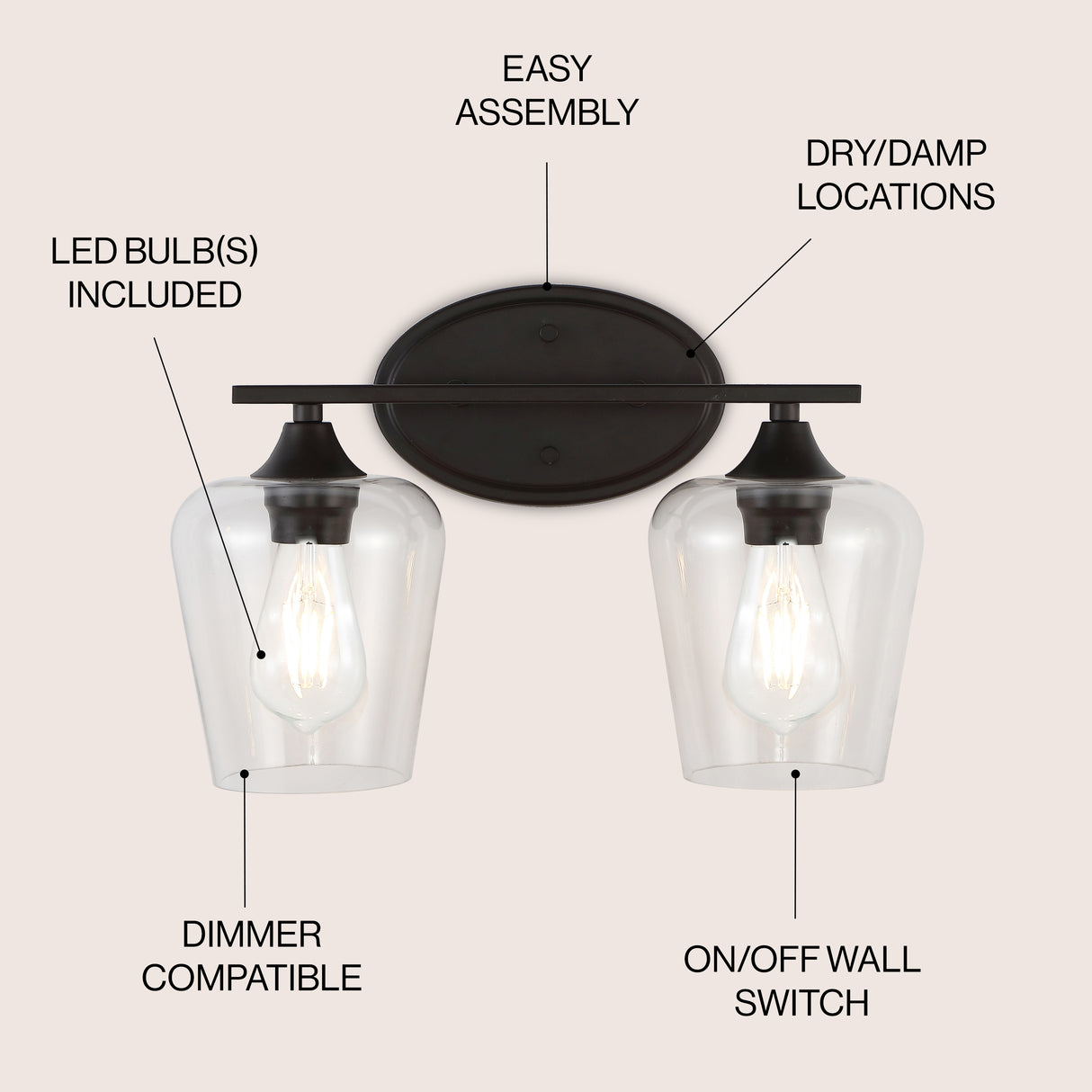Jayne 2-Light Iron/Seeded Glass Cottage Rustic LED Vanity Light