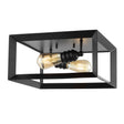 Marfa-2-Light-Iron-Modern-Farmhouse-LED-Flush-Mount-Flush-Mounts