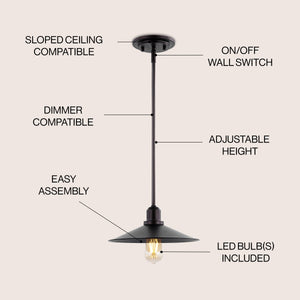 Prairie 1-Light Bohemian Farmhouse Iron LED Pendant