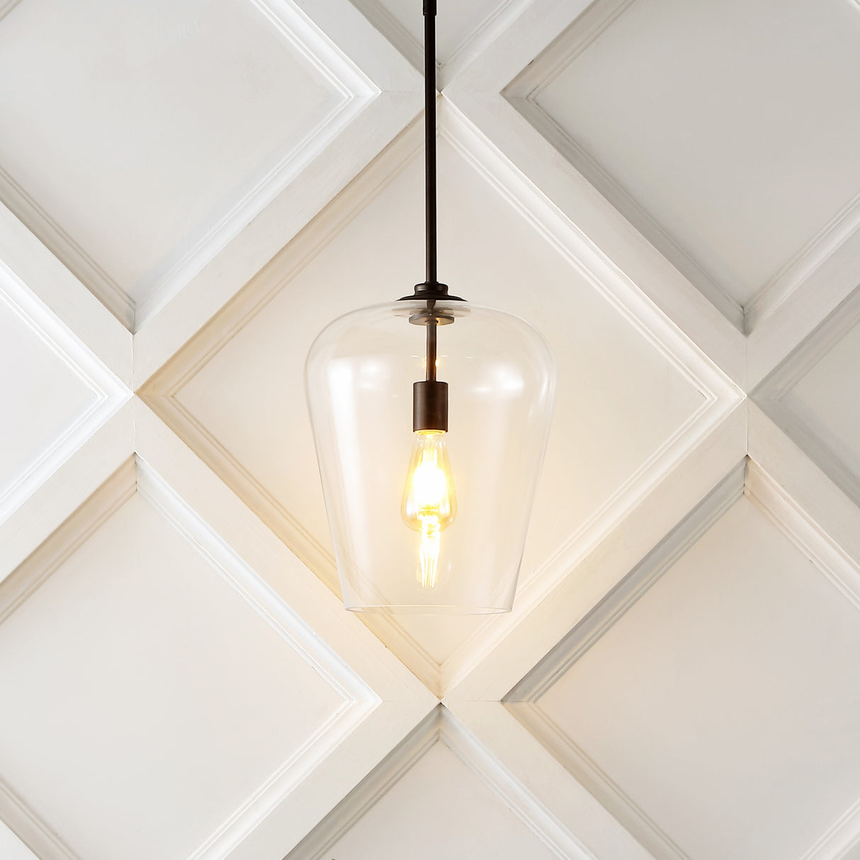 Hayes 1-Light Industrial Farmhouse Iron/Glass LED Pendant