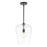 Hayes-1-Light-Industrial-Farmhouse-Iron/Glass-LED-Pendant-Pendants