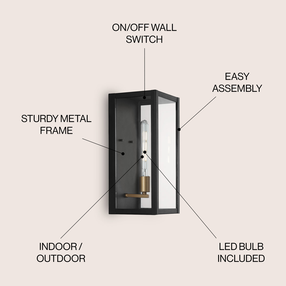 Berlin 1-Light Iron/Glass Modern Industrial LED Outdoor Sconce