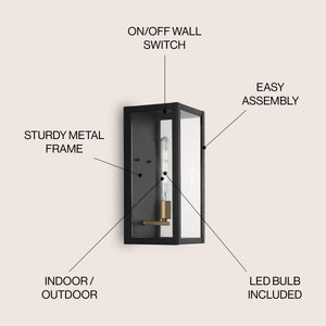 Berlin 1-Light Iron/Glass Modern Industrial LED Outdoor Sconce