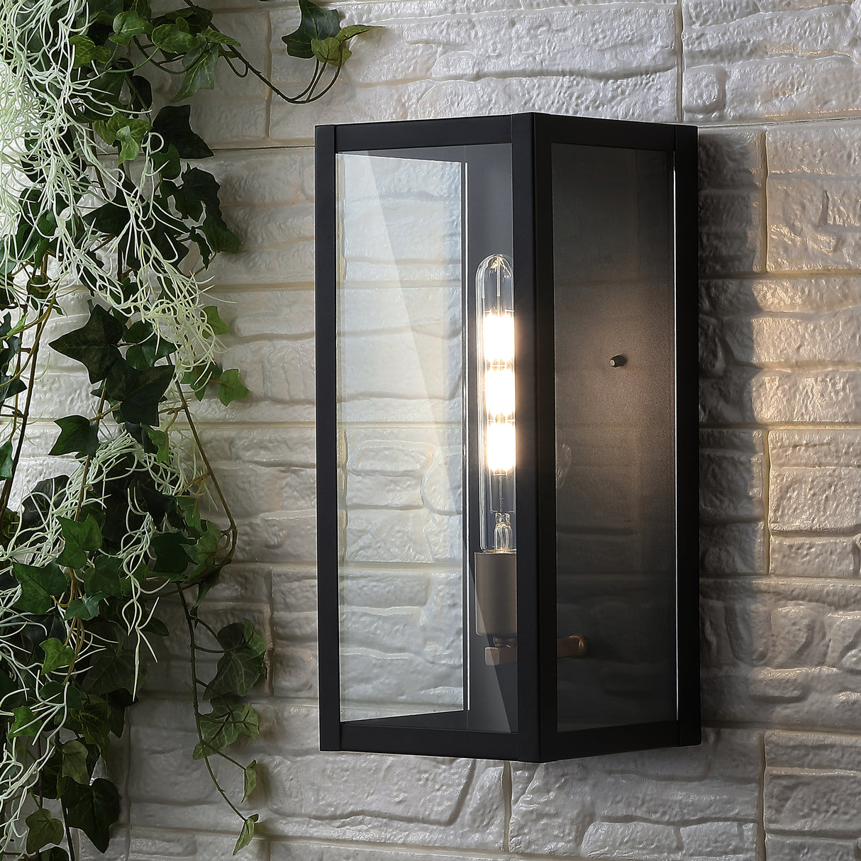 Berlin 1-Light Iron/Glass Modern Industrial LED Outdoor Sconce