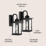 Cary 1-Light Iron/Glass Traditional Modern Lantern LED Outdoor Sconce