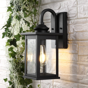 Cary 1-Light Iron/Glass Traditional Modern Lantern LED Outdoor Sconce