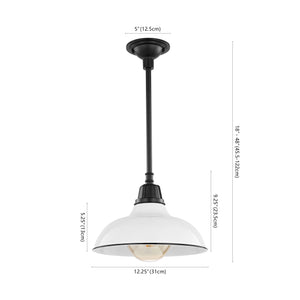Jasper 1-Light Farmhouse Industrial Indoor/Outdoor Iron LED Pendant