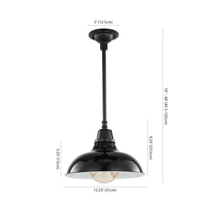 Jasper 1-Light Farmhouse Industrial Indoor/Outdoor Iron LED Pendant