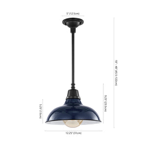 Jasper 1-Light Farmhouse Industrial Indoor/Outdoor Iron LED Pendant