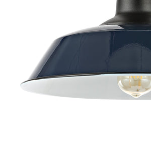 Camila 1-Light Classic Industrial Indoor/Outdoor Iron LED Semi Flush Mount