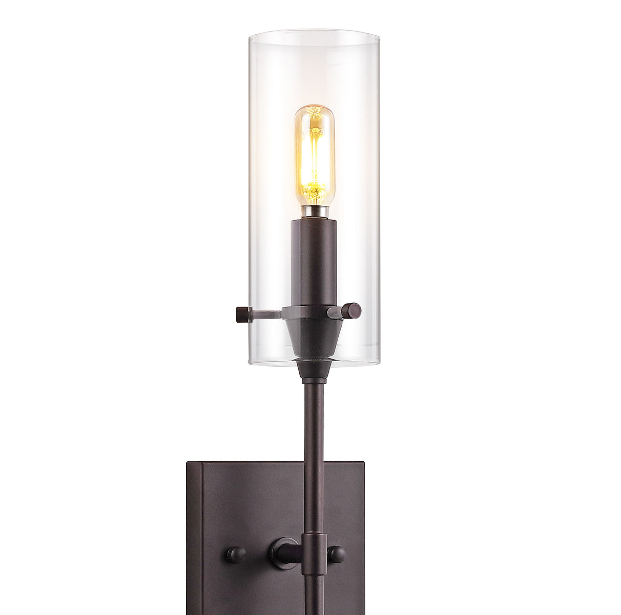 Cato 1-Light Bohemian Farmhouse Iron/Glass LED Vanity