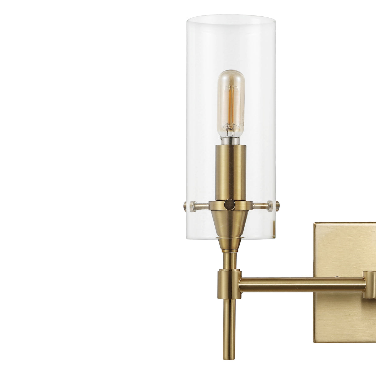 Cato 2-Light Modern Farmhouse Iron/Glass LED Vanity