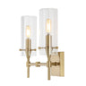 Cato 2-Light Modern Farmhouse Iron/Glass LED Vanity