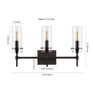 Cato 3-Light Modern Farmhouse Iron/Glass LED Vanity