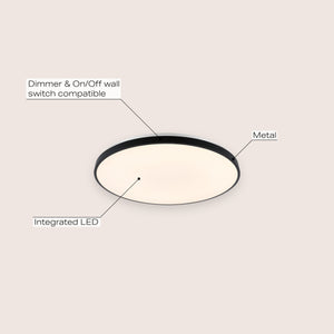 Astrid 1-Light Modern Minimalist Iron Circle Integrated LED Flush Mount