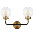 Caleb-2-Light-Contemporary-Transitional-Iron/Glass-LED-Vanity-Light-Bathroom-Vanity-Lights